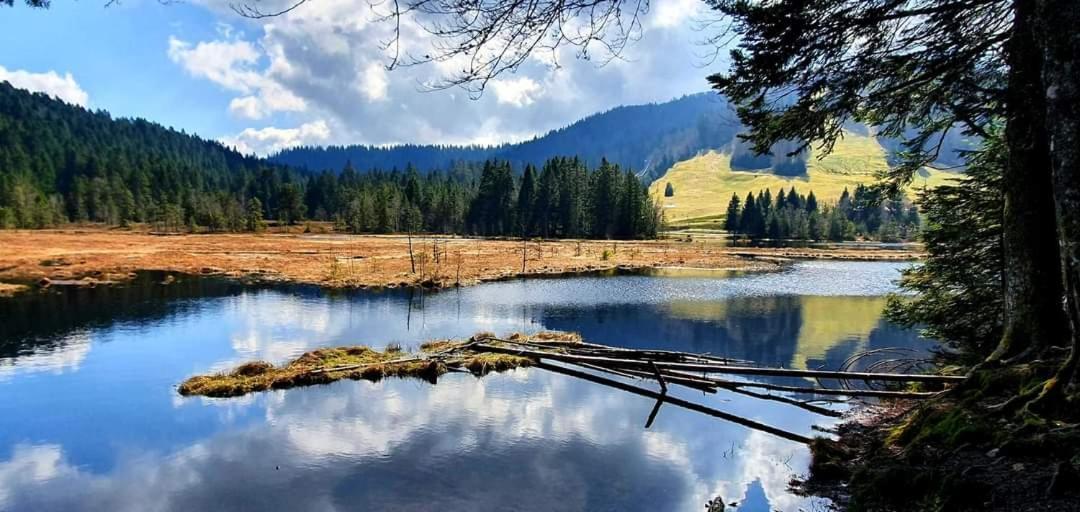 Entre Montagnes Et Lacs *