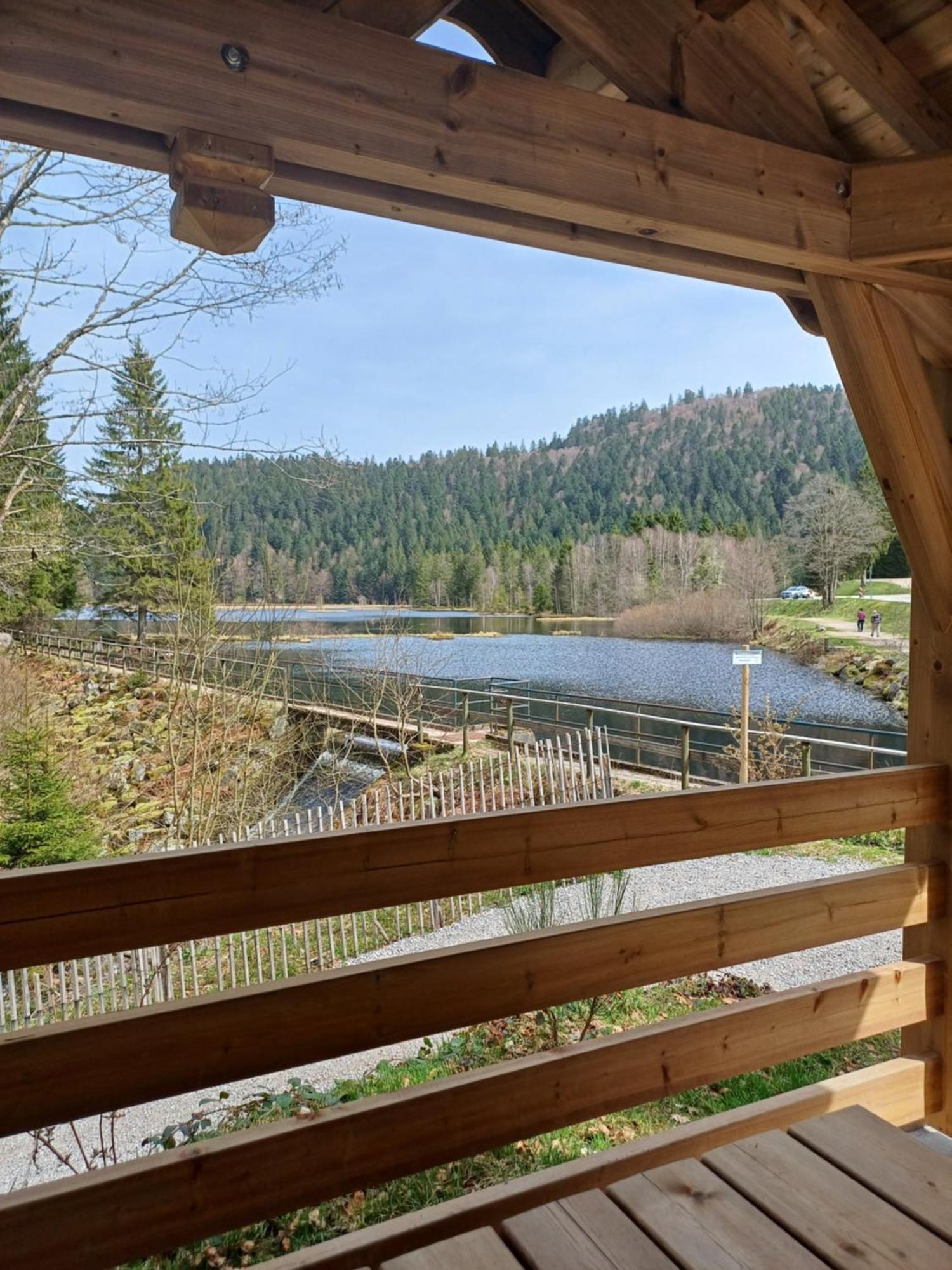 Apartment Entre Montagnes Et Lacs La Bresse